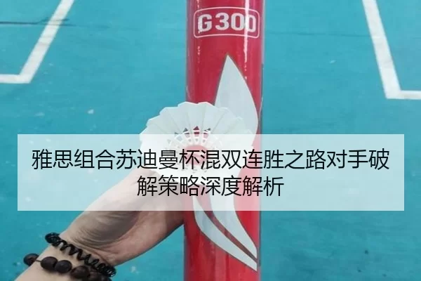 ya-si-zu-he-su-di-man-bei-hun-shuang-lian-sheng-zhi-lu-dui-shou-po-jie-ce-lve-shen-du-jie-xi-2-183.jpg