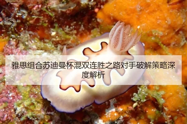 雅思组合苏迪曼杯混双连胜之路对手破解策略深度解析