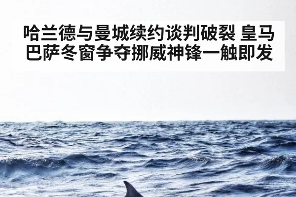 哈兰德与曼城续约谈判破裂 皇马巴萨冬窗争夺挪威神锋一触即发